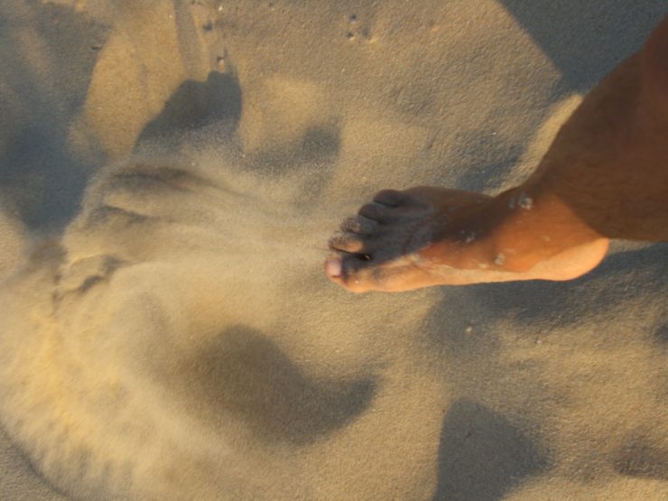 Mer, vent, sable, vie | plages du Westhoek