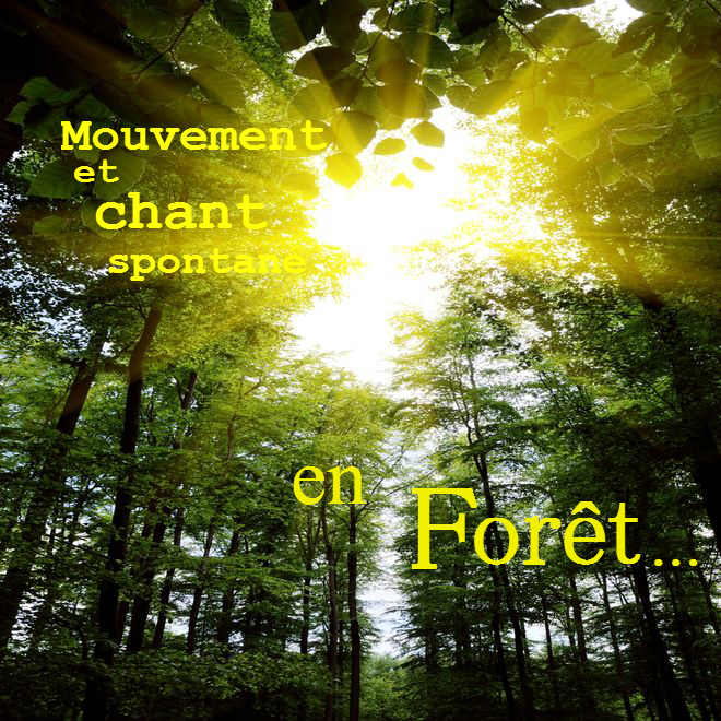 Danse tribale en forêt de Soignes